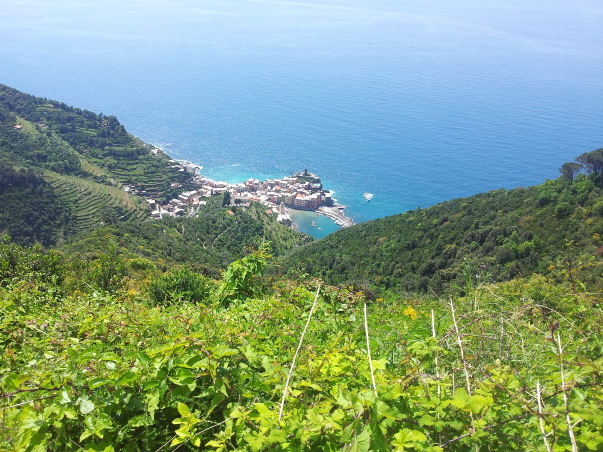 sentiero-monterosso-soviore-reggio-vernazza