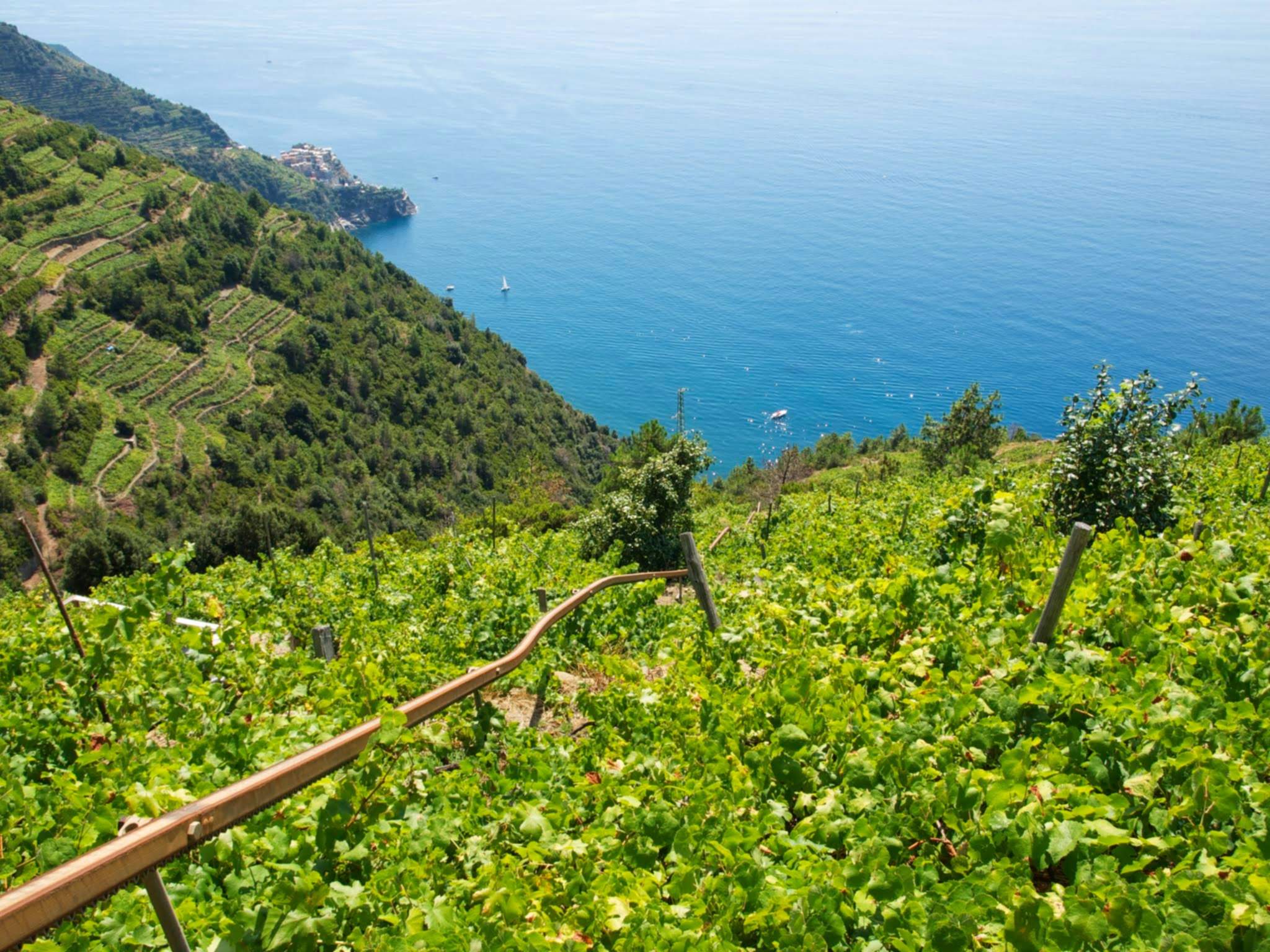 sentiero-volastra-cinqueterre